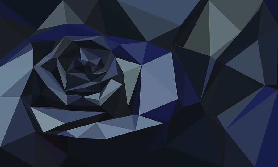 bigstock-Low-Poly-Black-Dark-Rose-Back-468651063.jpg